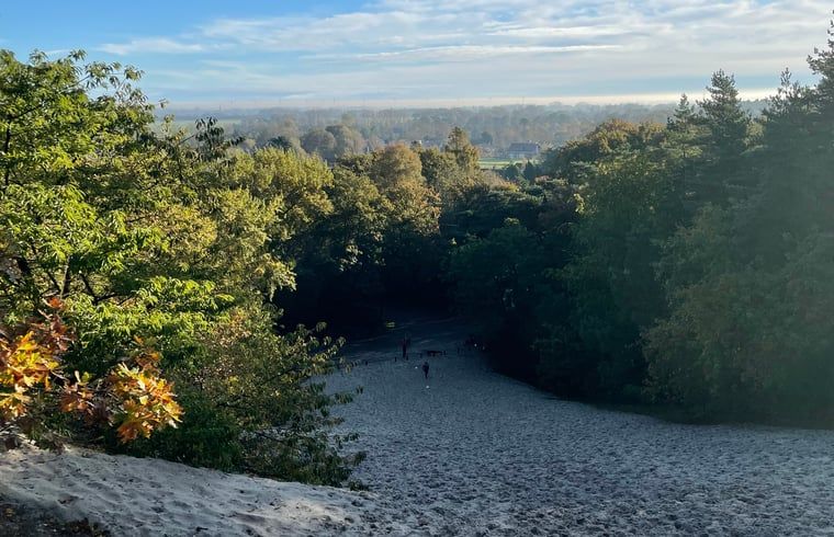 Blick ueber die Duenen bei Sonnenaufgang in der Naehe des Ferienhauses in Schoorl, Nordholland Nord, Nordholland.