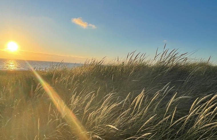 Schaduwrijk terras in de tuin van Huisje in Schoorl, Noord-Holland noord.