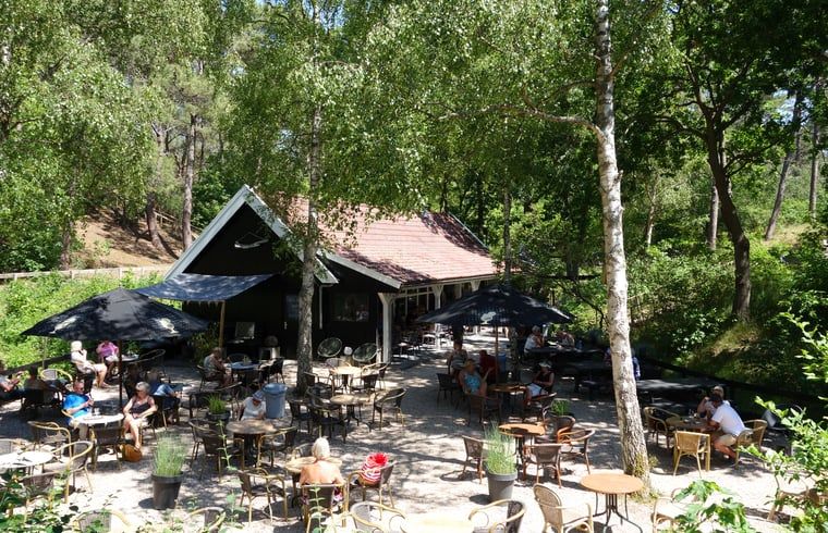 Verblijf 484256 - Vakantiewoning Noord-Holland noord - Huisje in Schoorl