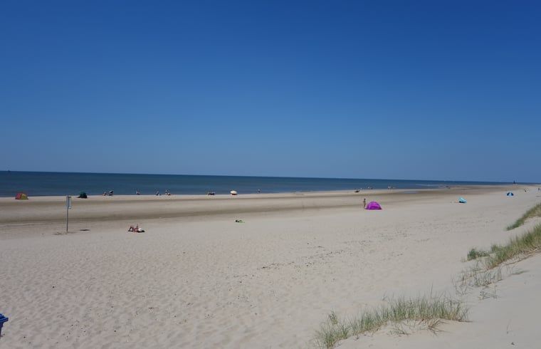 Verblijf 484256 - Vakantiewoning Noord-Holland noord - Huisje in Schoorl