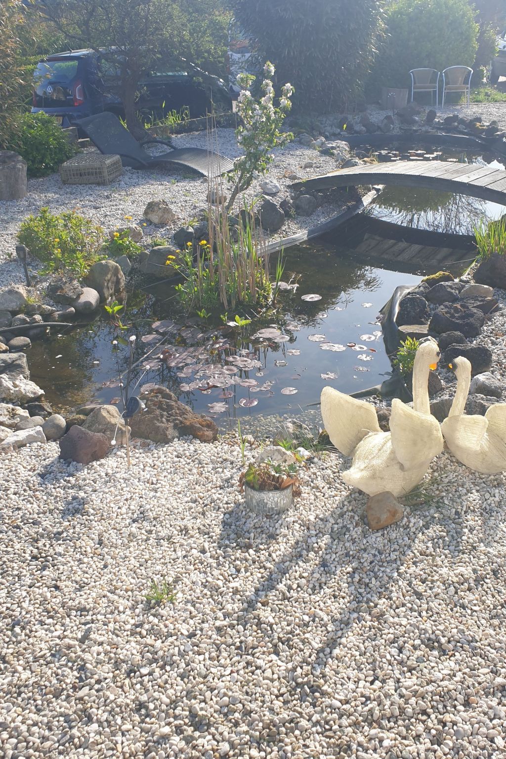 Guest house 484264 - Apartment Noord-Holland noord - Appartement Di Mare