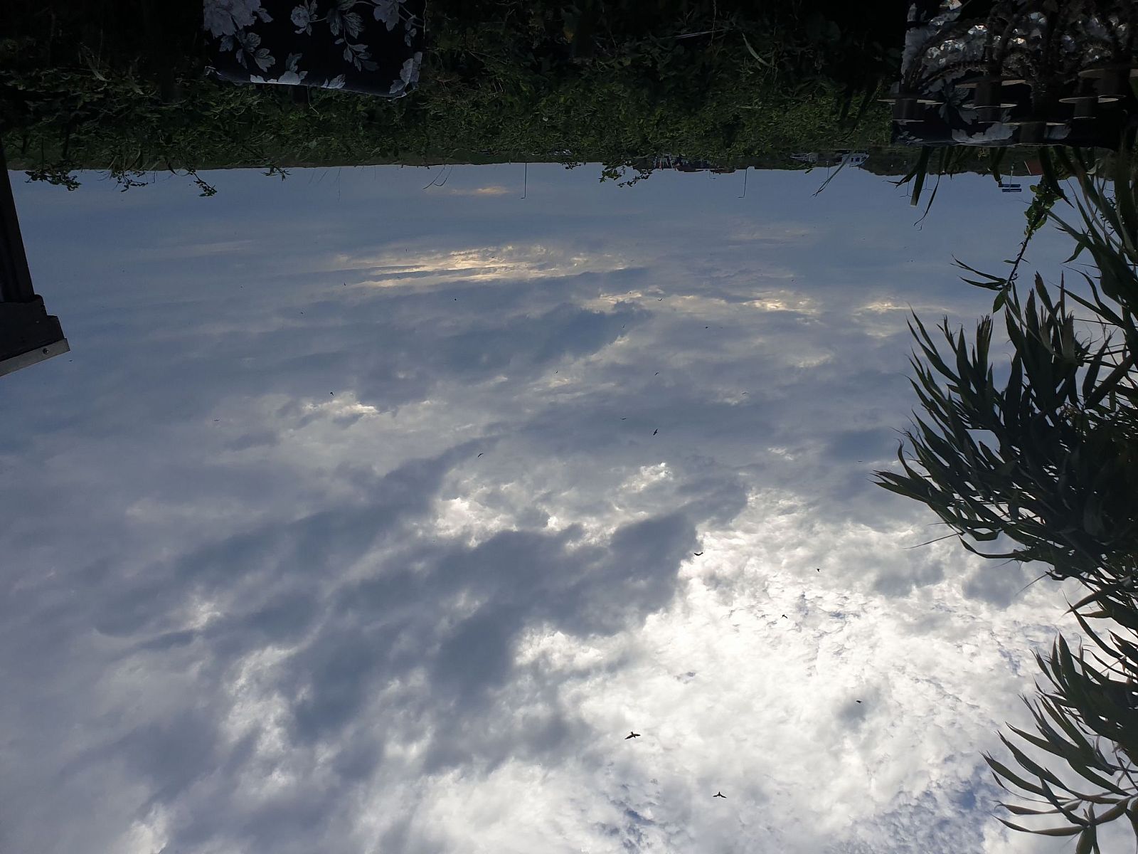 Guest house 484264 - Apartment Noord-Holland noord - Appartement Di Mare