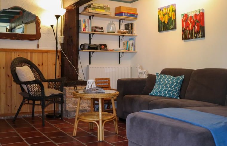 Cozy living room in Holiday home in Schoorl, North Holland with comfortable seating area and bookshelves for a relaxing stay.