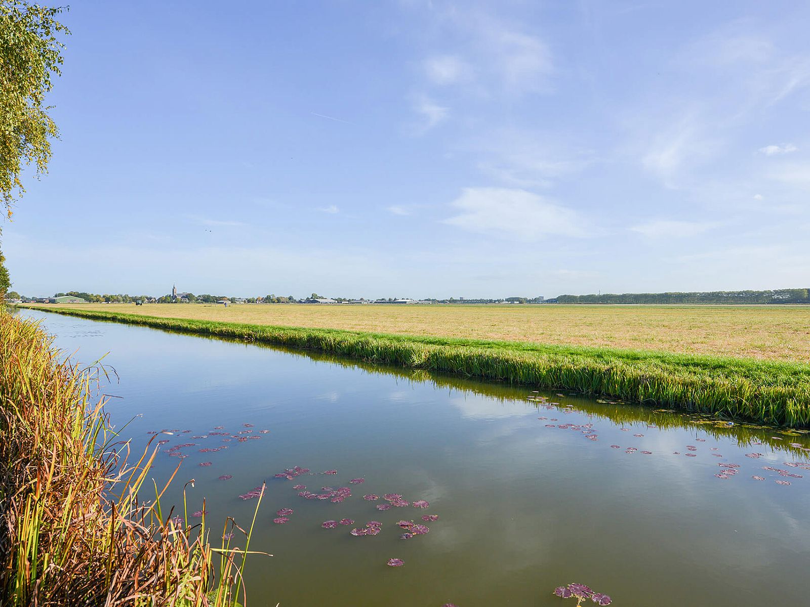 Verblijf 490362 - Chalet Noord-Holland midden - Chalet in Berkhout