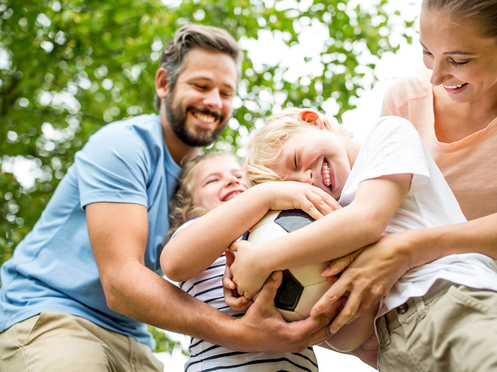 Verblijf 490362 - Chalet Noord-Holland midden - Chalet in Berkhout