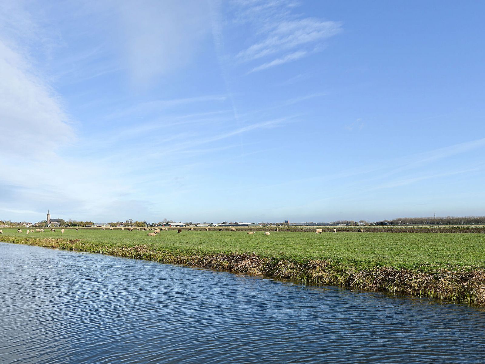 Verblijf 490363 - Chalet Noord-Holland midden - Chalet in Berkhout