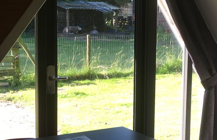 Blick auf den Garten vom Ferienhaus in Aartswoud, Nordholland, mit viel Gruen.