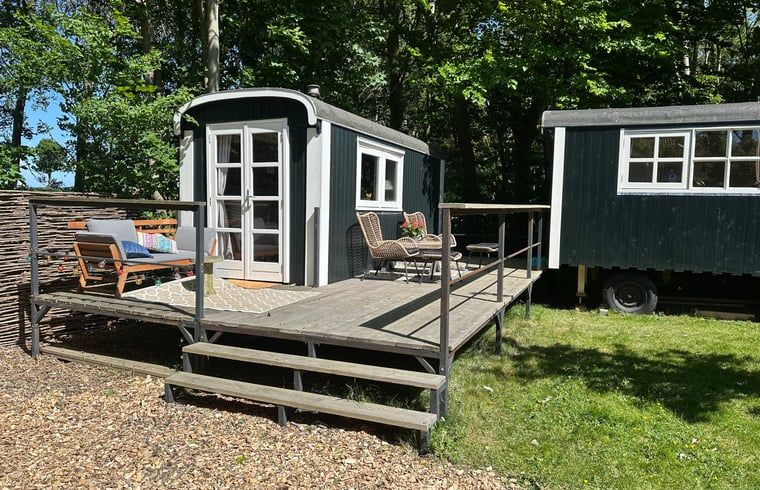 Geniessen Sie die Terrasse des Ferienhauses in Stompetoren, Nordholland, umgeben von viel Gruen und Ruhe.