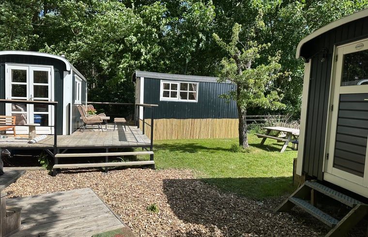 Entdecken Sie den charmanten Aussenbereich des Ferienhauses in Stompetoren, Nordholland, ideal zum Entspannen.