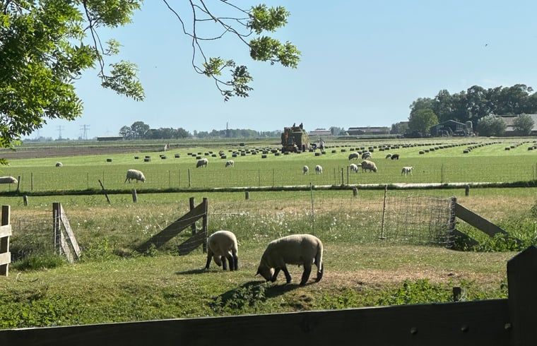 Unterkunft 493502 - Ferienhaus Noord-Holland midden - Vakantiehuisje in Stompetoren