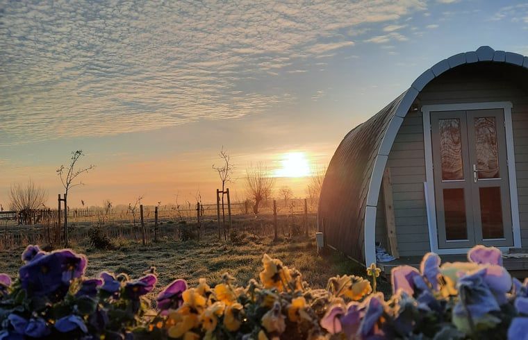 Schitterende zonsopgang bij Huisje in Zuid-Scharwoude, een vakantiehuis in Noord-Holland, met kleurrijke bloemen op de voorgrond.