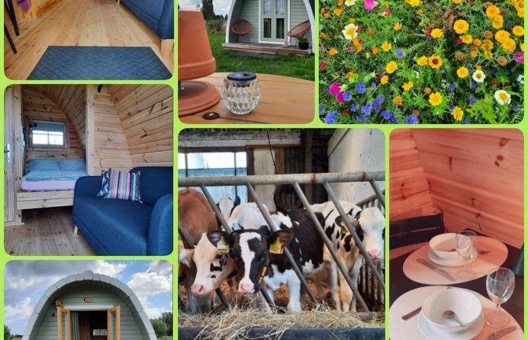 Collage van Huisje in Zuid-Scharwoude, een vakantiehuis in Noord-Holland, met interieur, exterieur en boerderijdieren.