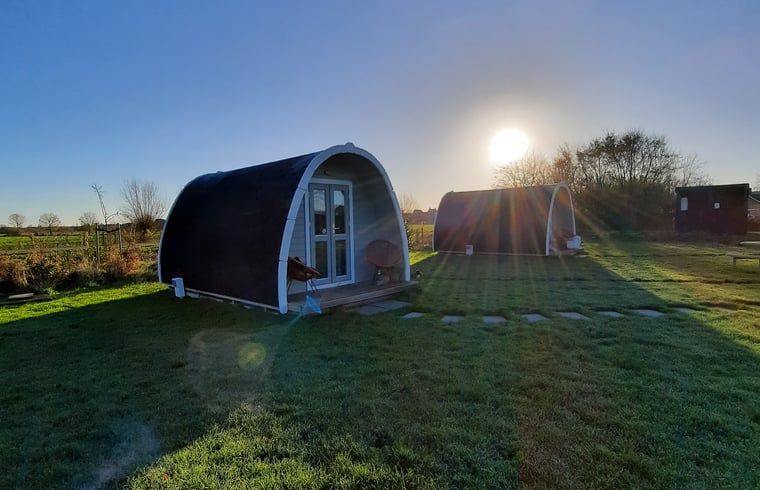 Ochtendzon bij Huisje in Zuid-Scharwoude, een vakantiehuis in Noord-Holland, met uitzicht op de groene natuur.