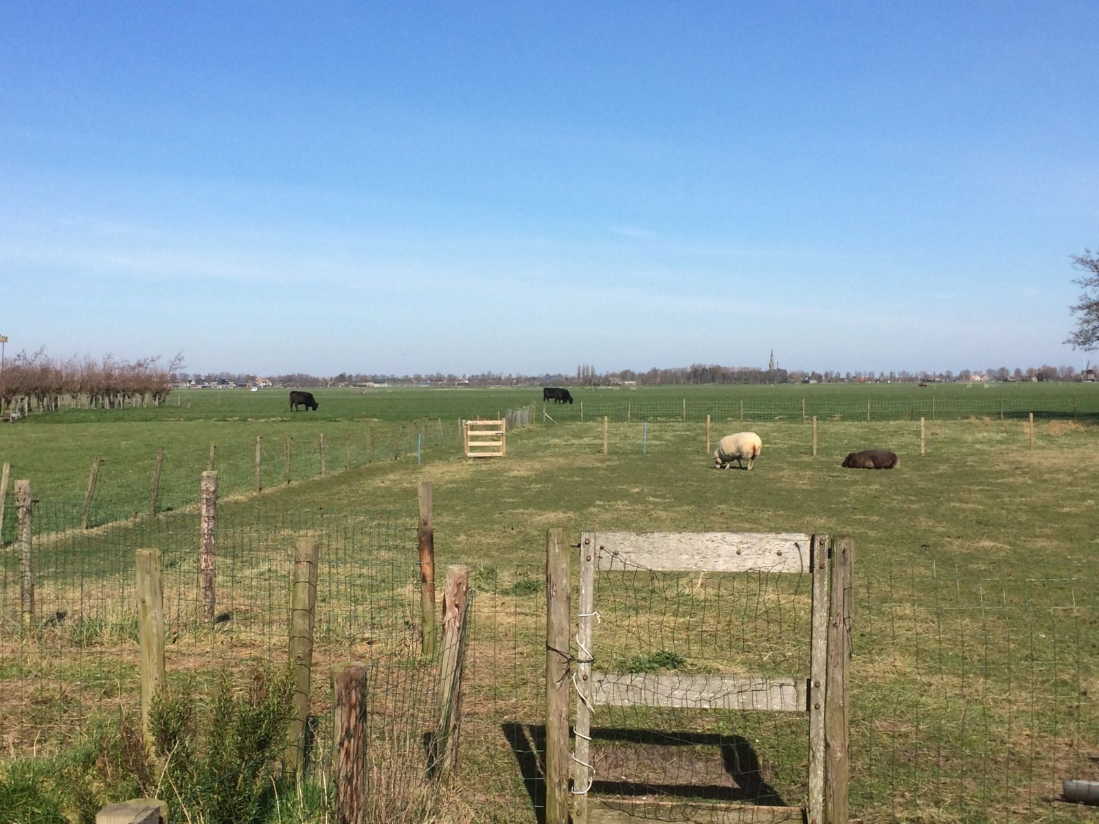 Garten des NH539 Ferienhauses in Spanbroek, Nordholland mit Gruenpflanzen und Zaun