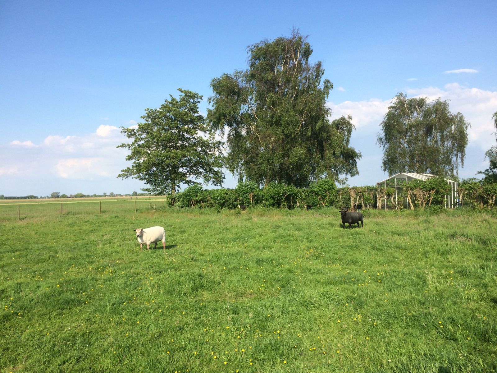 Komfortables Schlafzimmer im NH539 Ferienhaus in Spanbroek, Nordholland mit Doppelbett
