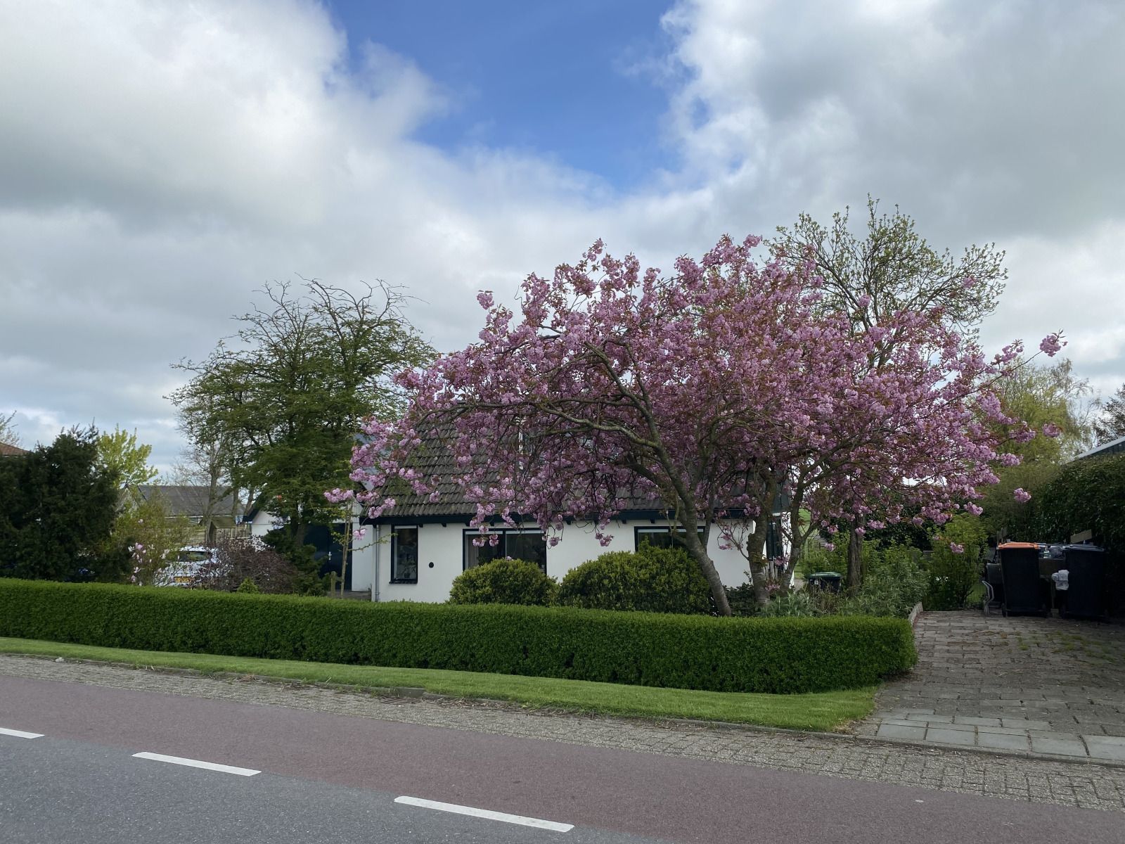 Schoene Landschaft rund um das Ferienhaus NH539 in Spanbroek, Nordholland mit weiten Feldern