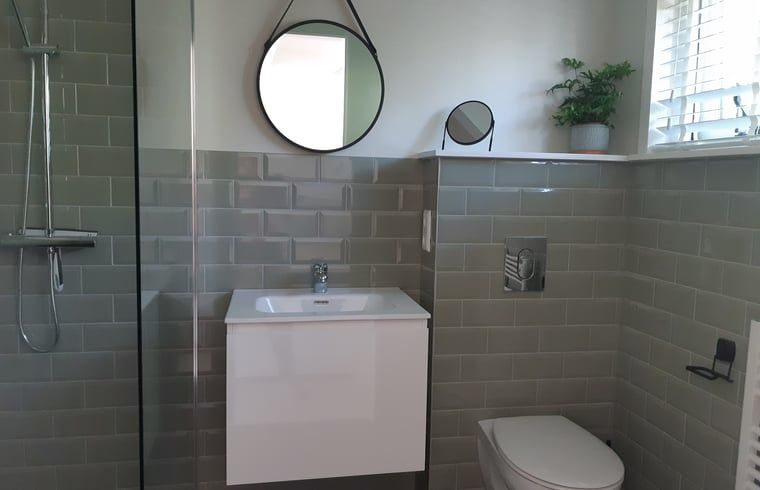 Modern bathroom in Holiday Home in Driehuizen, North Holland, with stylish tiles and walk-in shower.