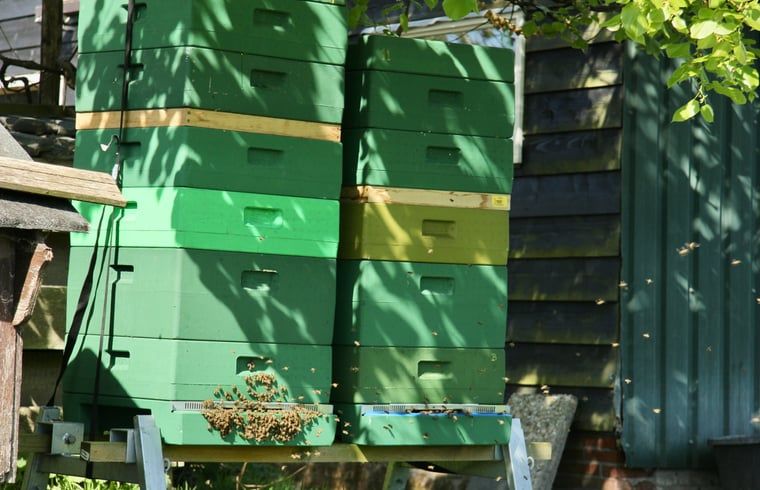 Guest house 495504 - Holiday property Noord-Holland midden - Huisje in Heerhugowaard