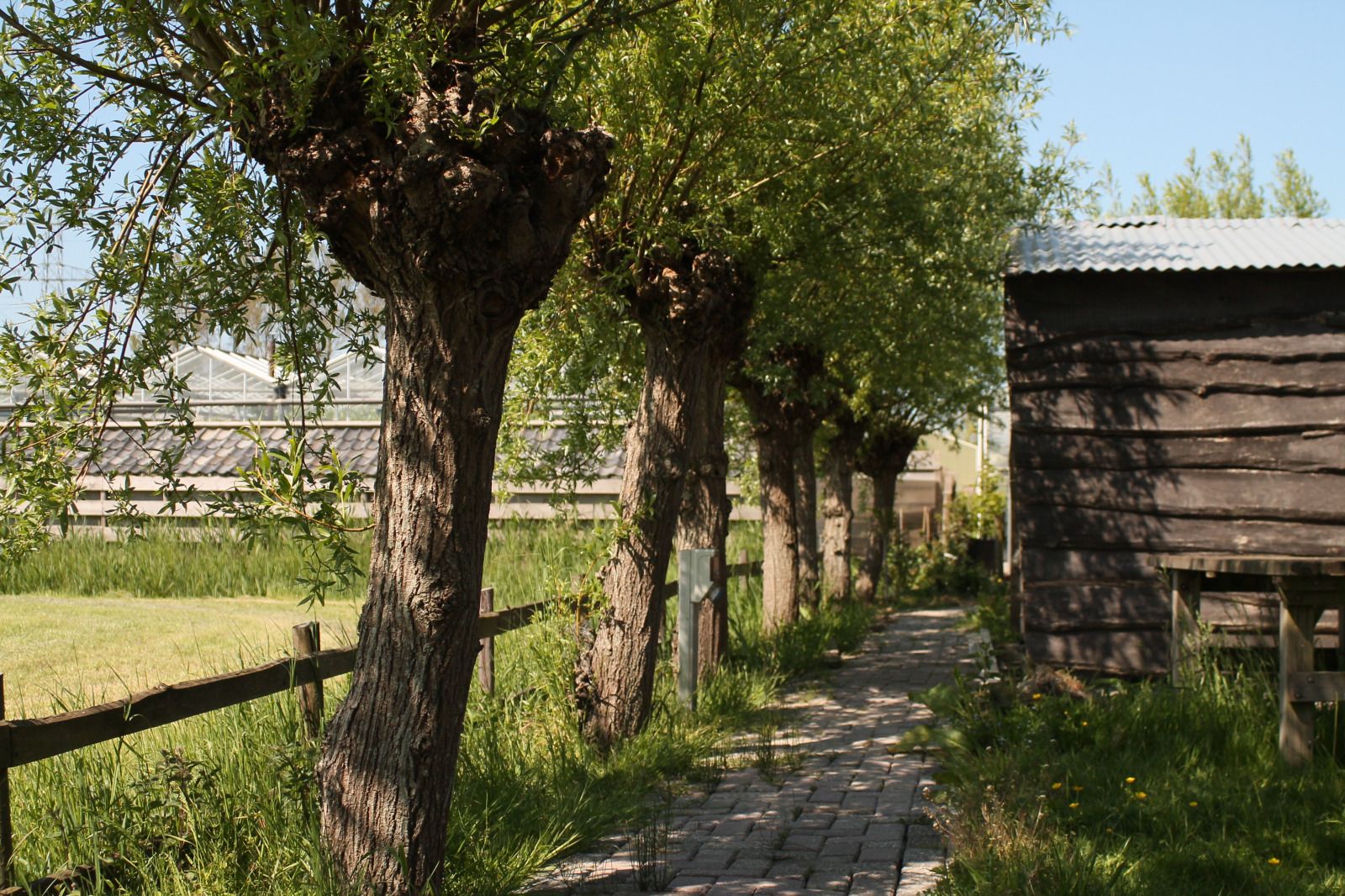 Prachtig uitzicht op de natuur rondom NH550 vakantiehuis in Heerhugowaard, Noord-Holland.
