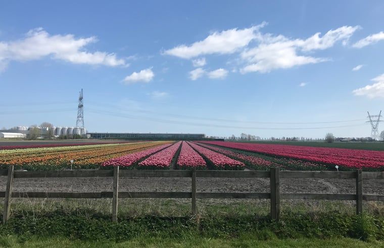 Verblijf 495604 - Vakantiewoning Noord-Holland midden - Vakantiehuisje in Westbeemster