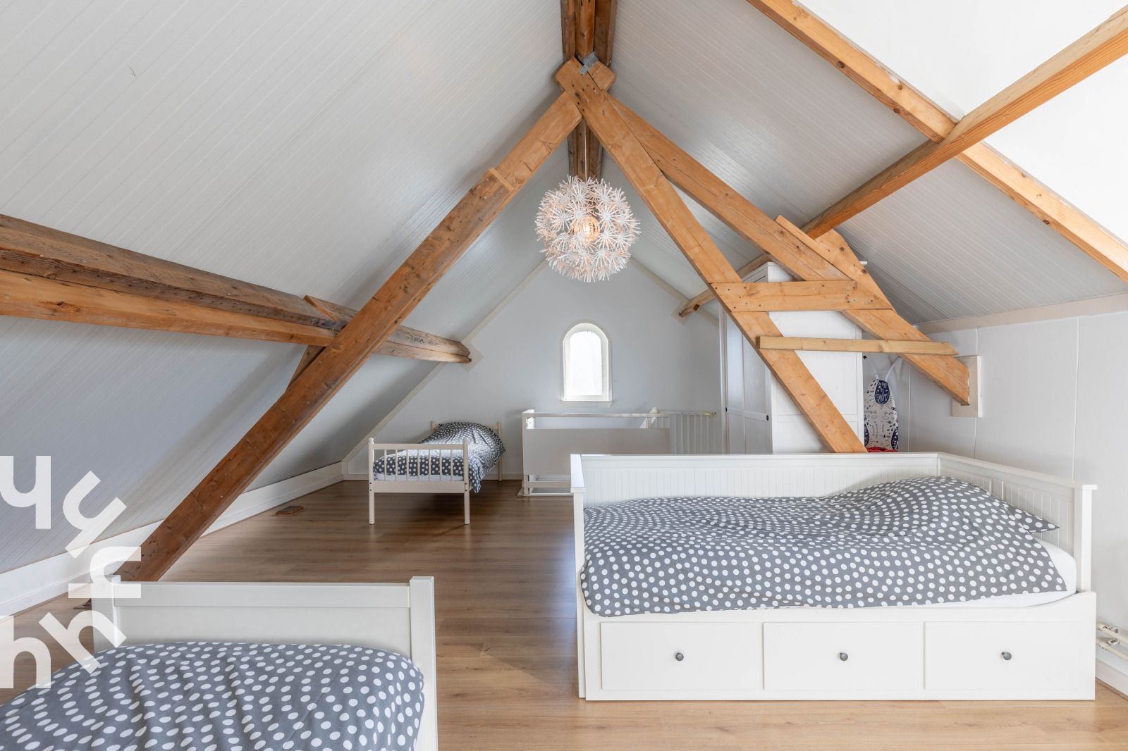 Kuehe auf der Wiese beim Ferienhaus NH225 in Loosdrecht, Nordholland.