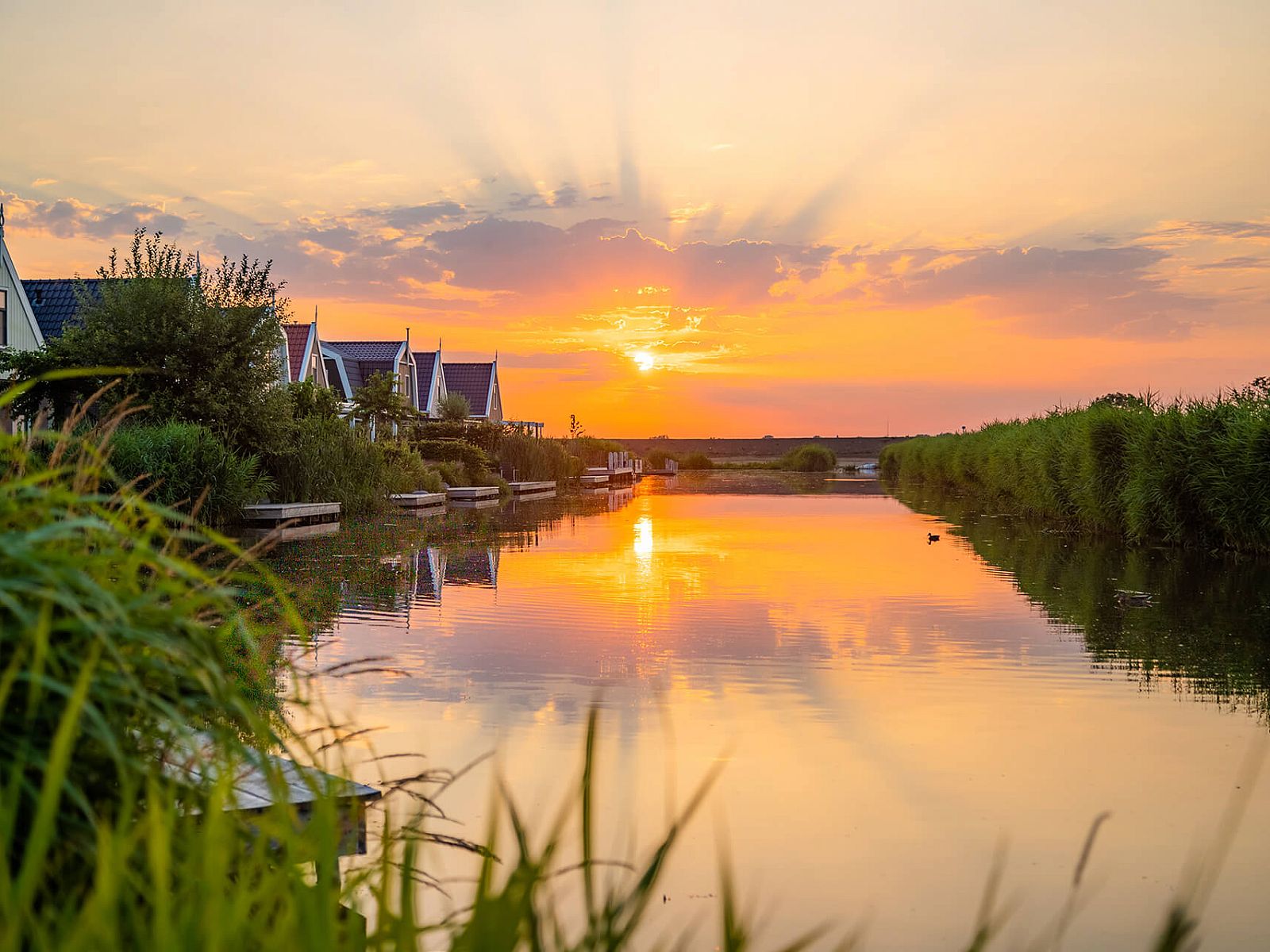 Unterkunft 510920 - Ferienhaus Amsterdam eo - EuroParcs Poort van Amsterdam