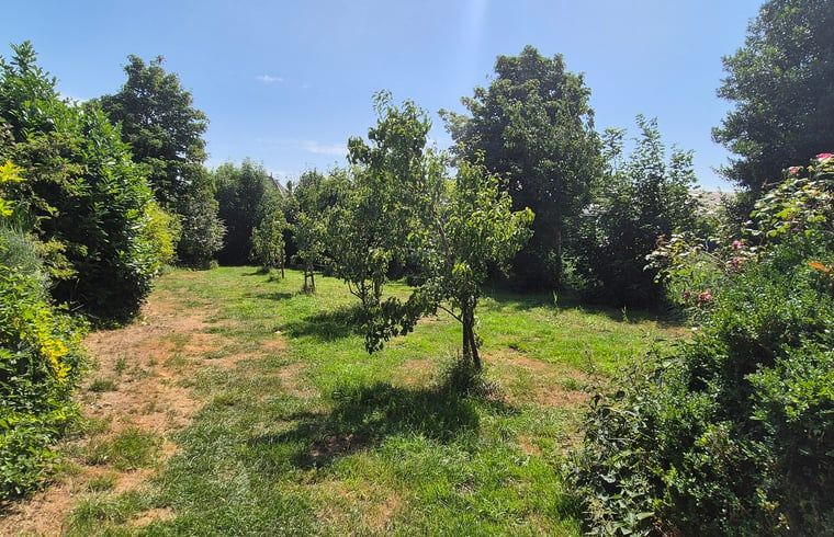 Image 13