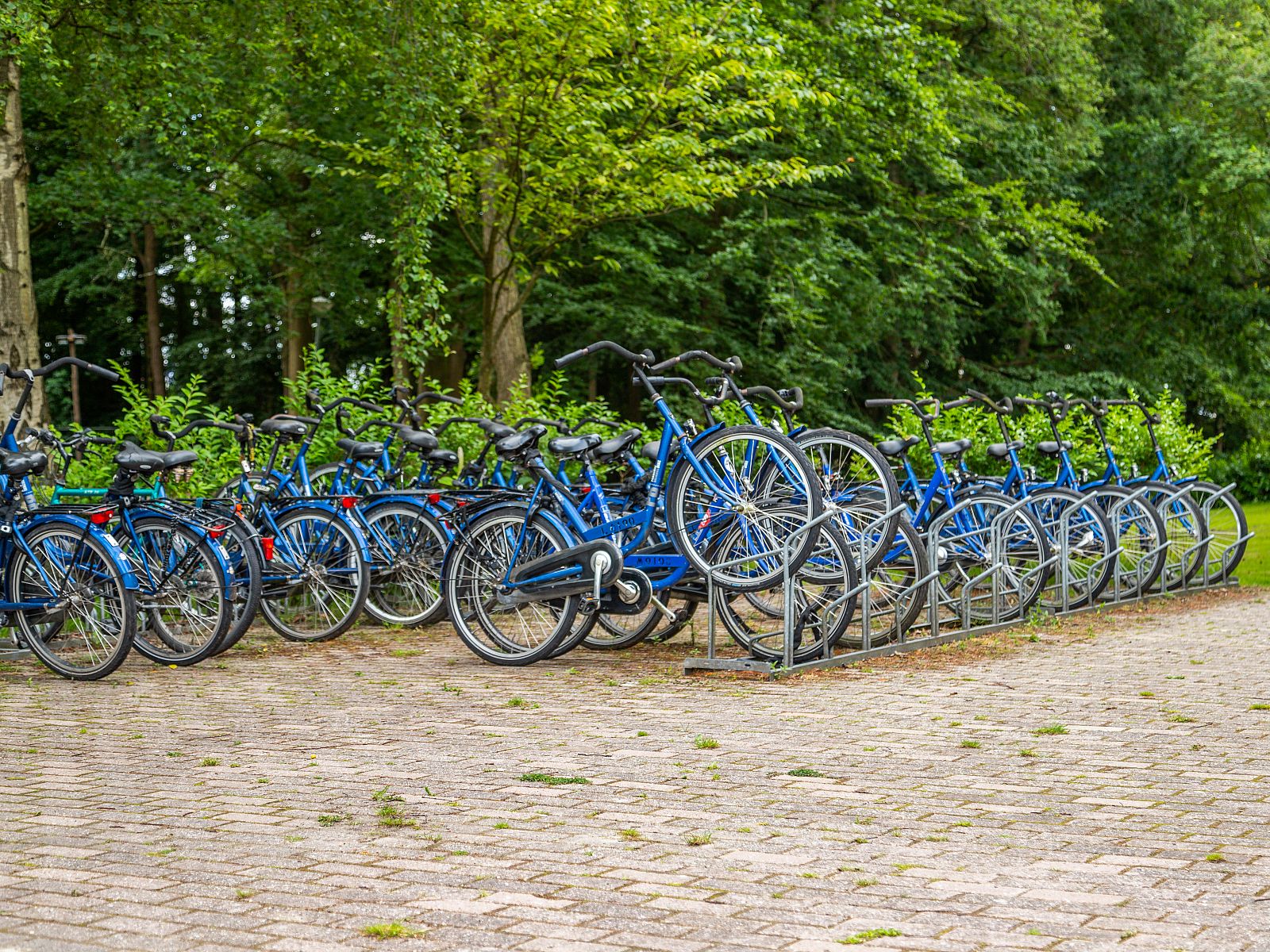 Unterkunft 512707 - Ferienhaus Amsterdam eo - EuroParcs Het Amsterdamse Bos