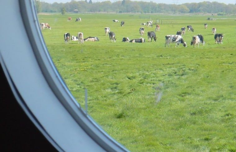 Guest house 513307 - Holiday property Amsterdam eo - Vakantiehuisje in Weesp