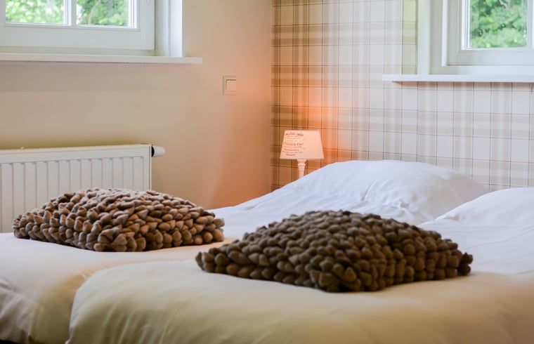 Komfortables Schlafzimmer im Cottage in Mander, Mander, Twente, mit gemuetlichen Betten und sanfter Beleuchtung.