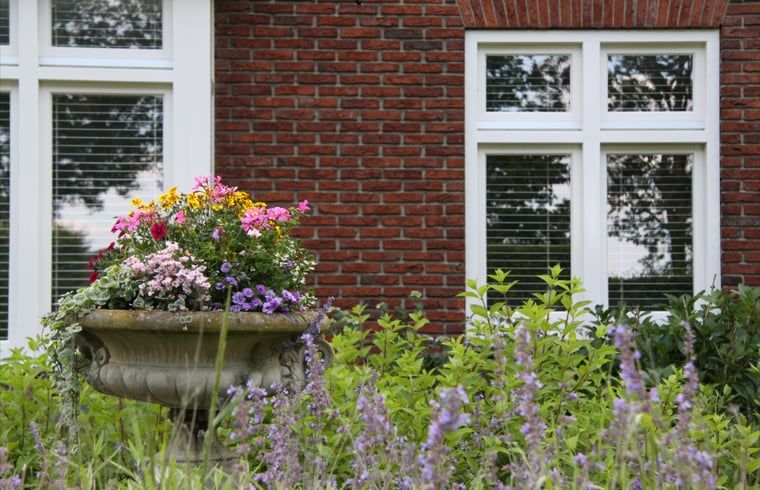 Bluehender Garten im Ferienhaus in Mander, Twente, Overijssel, mit bunten Blumen fuer ein entspannendes Urlaubserlebnis.