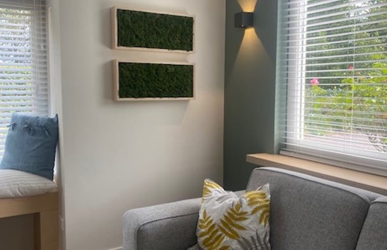 Gemuetliches Wohnzimmer im Ferienhaus in Mander, Twente, Overijssel, mit bequemem Sofa und dekorativen Pflanzen.