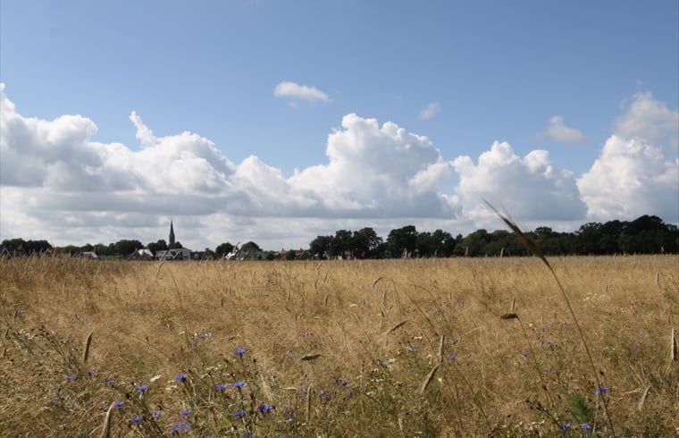 Weite Aussicht ueber die Felder in der Naehe des Ferienhauses in Mander, Twente, Overijssel, mit blauem Himmel und weissen Wolken.