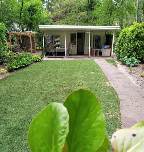 Hosta vakantiehuis in Ootmarsum, Twente met groene tuin en terras omringd door natuur.