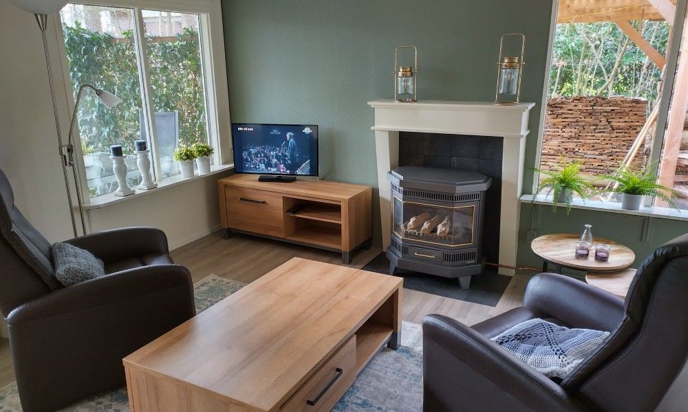 Gezellige woonkamer van Hosta vakantiehuis in Ootmarsum, Twente met open haard en TV.
