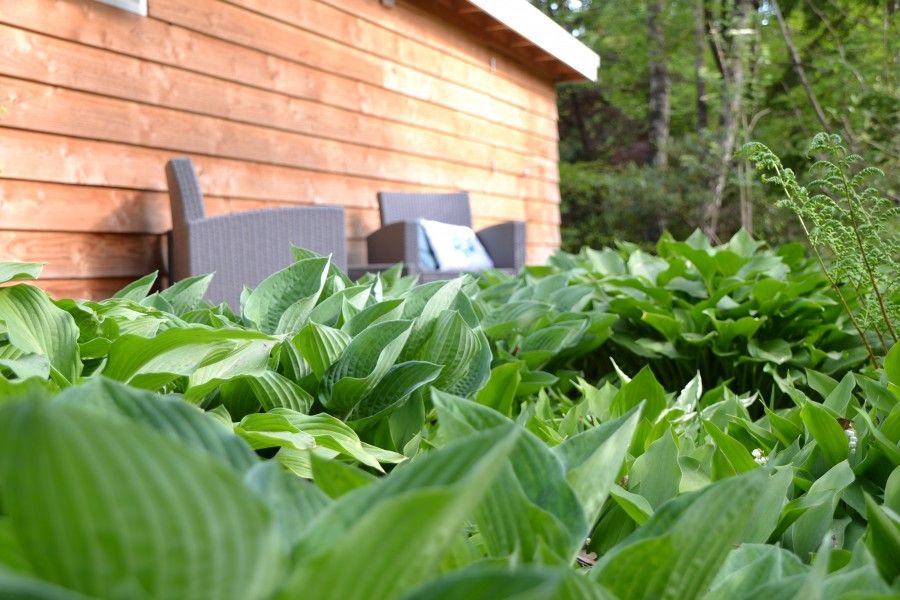 Verblijf 520204 - Vakantiewoning Twente - Hosta