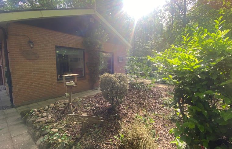 Vorgarten des Huisje in Nutter, Ferienhaus in Nutter, Twente, mit natuerlicher Vegetation.