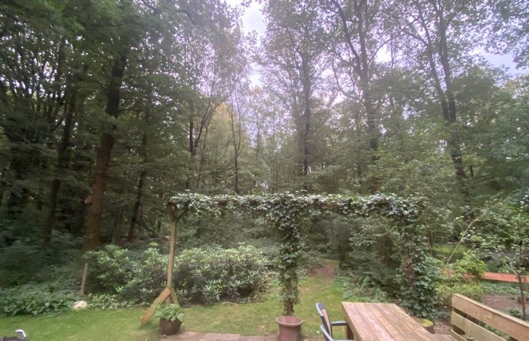 Ruhiger Waldblick vom Cottage in Nutter, Ferienhaus in Nutter, Twente.
