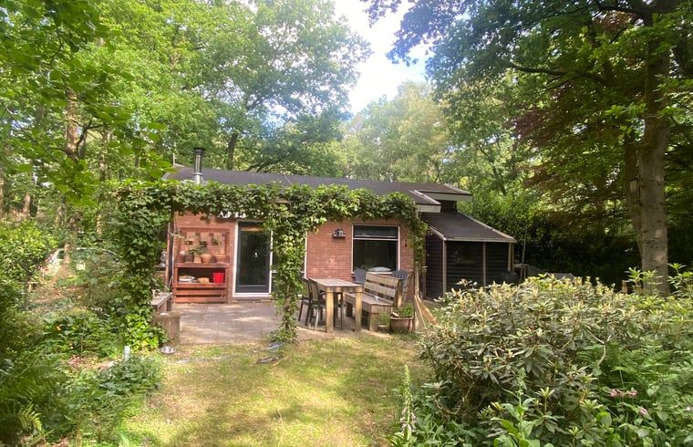 Rueckseite von Cottage in Nutter, Ferienhaus in Nutter, Twente, umgeben von viel Gruen.