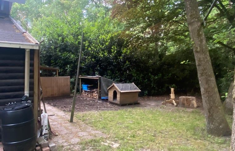 Holzlager und Hundehuette im Garten von Huisje in Nutter, Ferienhaus in Nutter, Twente.