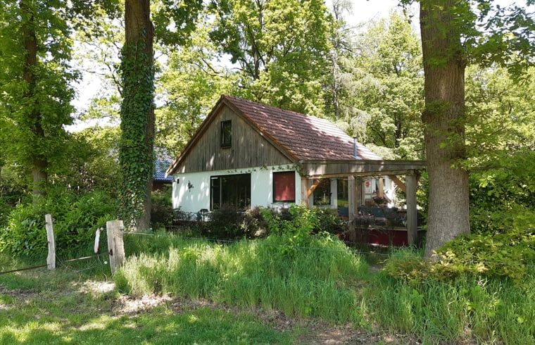 Gezellig vakantiehuis in Nutter, Twente, verscholen tussen weelderige groene bomen in Overijssel.