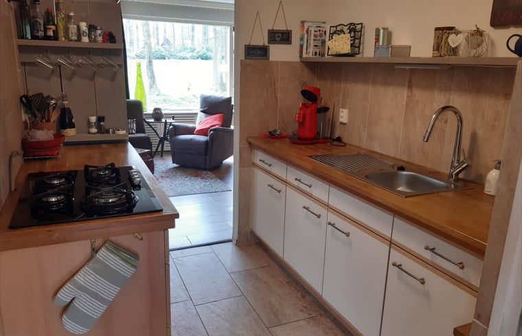 Moderne keuken met uitzicht op de tuin in Vakantiehuis in Nutter, Twente, Overijssel.