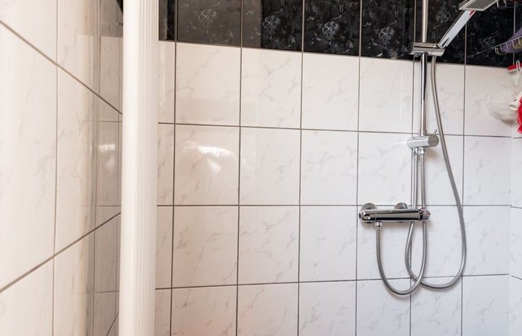 Stijlvolle badkamer met moderne douche in Vakantiehuis in Nutter, Twente, Overijssel.