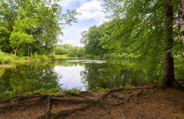 Rustgevend uitzicht op een vijver in het Springendal, dicht bij Vakantiehuis in Nutter, Twente.