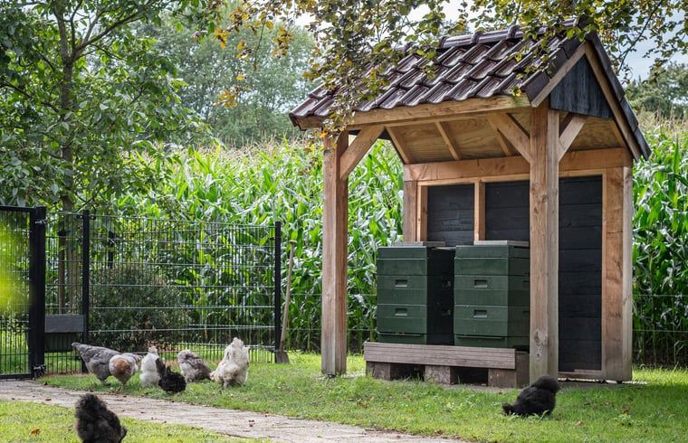 Unterkunft 520235 - Ferienhaus Twente - Vakantiehuis in Nutter
