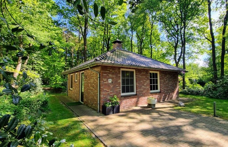 Vakantiehuis in Nutter, charmant vakantiehuis in de bossen van Twente, Overijssel, met groene omgeving.
