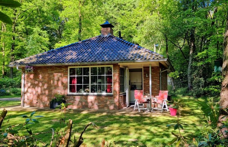 Vakantiehuis in Nutter, gezellig vakantiehuis met terras in de groene natuur van Twente, Overijssel.
