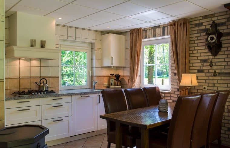 Moderne Kueche im Ferienhaus in Nutter, Twente, mit Blick auf die gruene Umgebung von Overijssel.