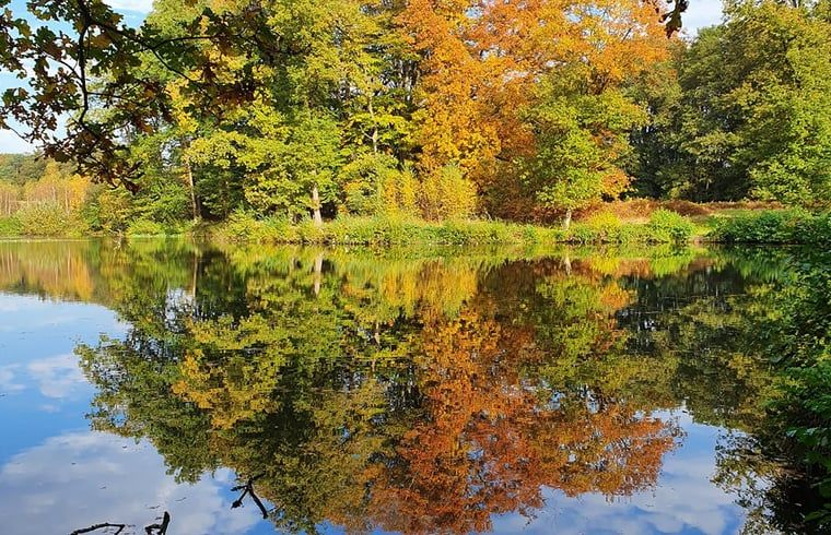 Schoene Herbstlandschaft beim Ferienhaus in Nutter, Twente, die sich im Wasser der Overijssel spiegelt.