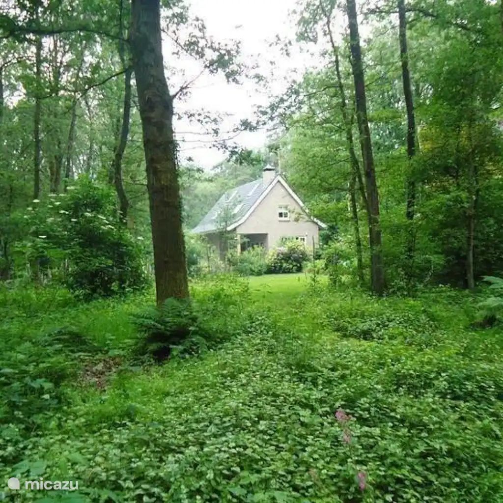 Unterkunft 520248 - Ferienhaus Twente - Bosvilla Zommerloof